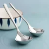 Stainless Steel Serving Spoon Set